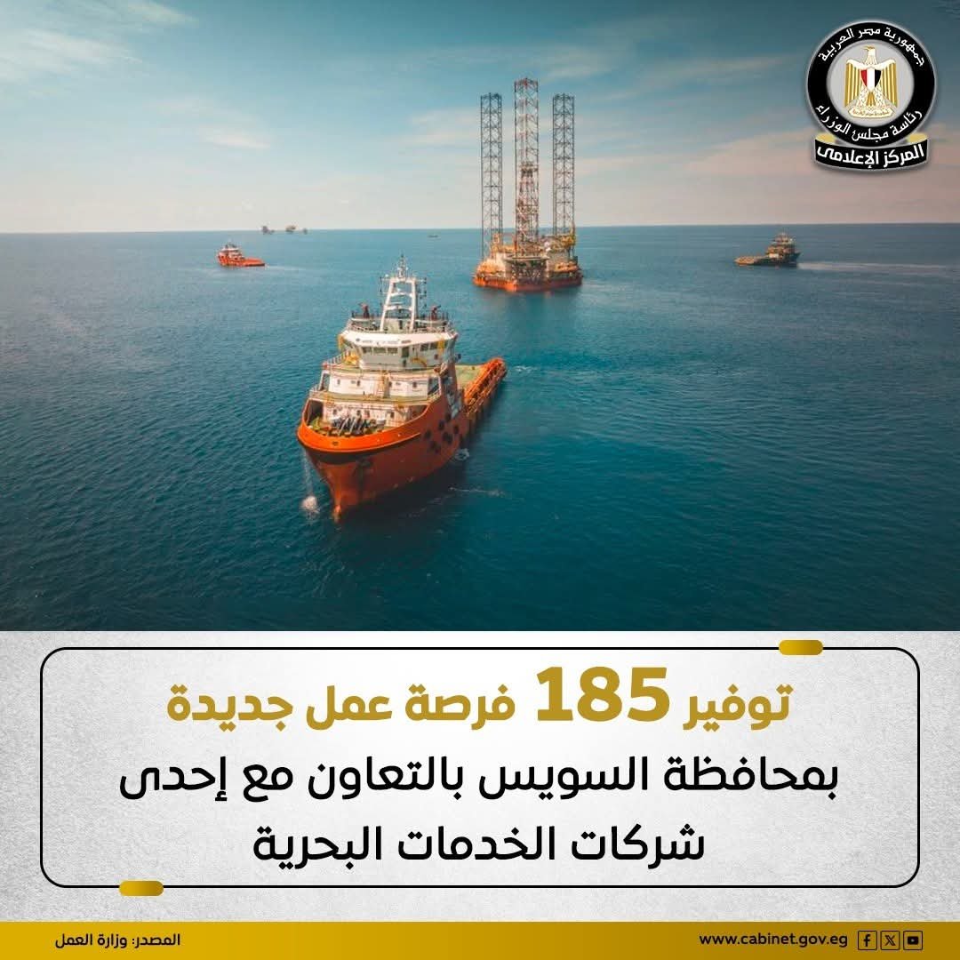 مصر : توفير 185 فرصة عمل جديدة ..تعرف عليها
