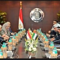 مباحثات مصرية إماراتية حول الشراكة الاقتصادية