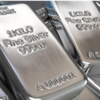 سعر الفضة يرتفع فوق 65 دولارا لأول مرة في التاريخ