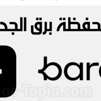  بـ 10 ملايين مستخدم .. تطبيق برق الأسرع نمواً في الشرق الأوسط