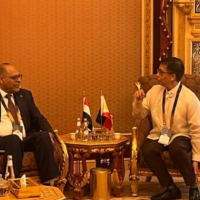   وزير العمل المصري يبحث مع نظيره الفلبيني التعاون المشترك بالرياض